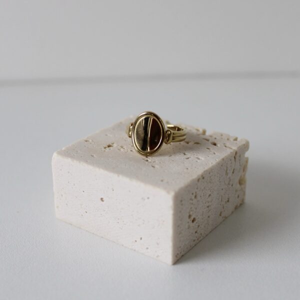 img_1623-2 Zegelring goud