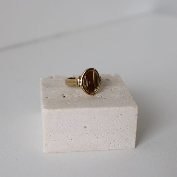 img_1626 Zegelring goud