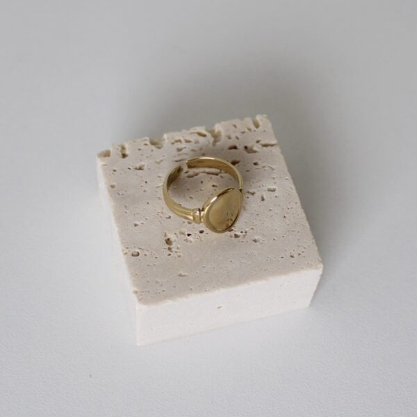 img_1627 Zegelring goud