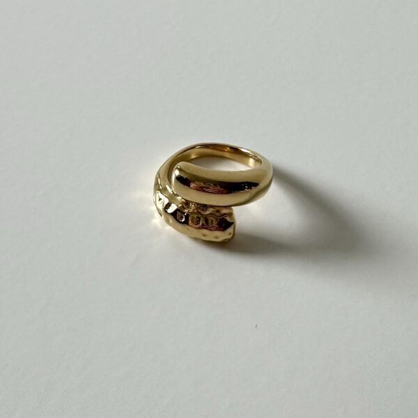 img_0505-3 Ring half bewerkt