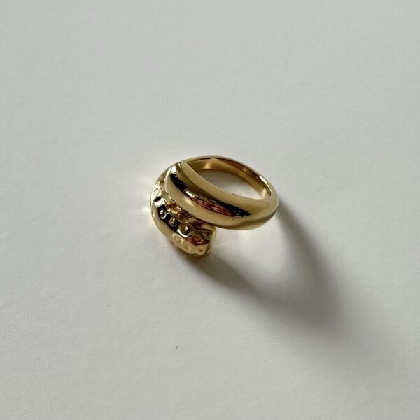 img_0506-2 Ring half bewerkt