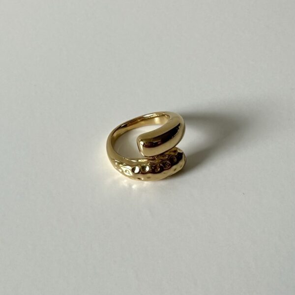 img_0507-2 Ring half bewerkt