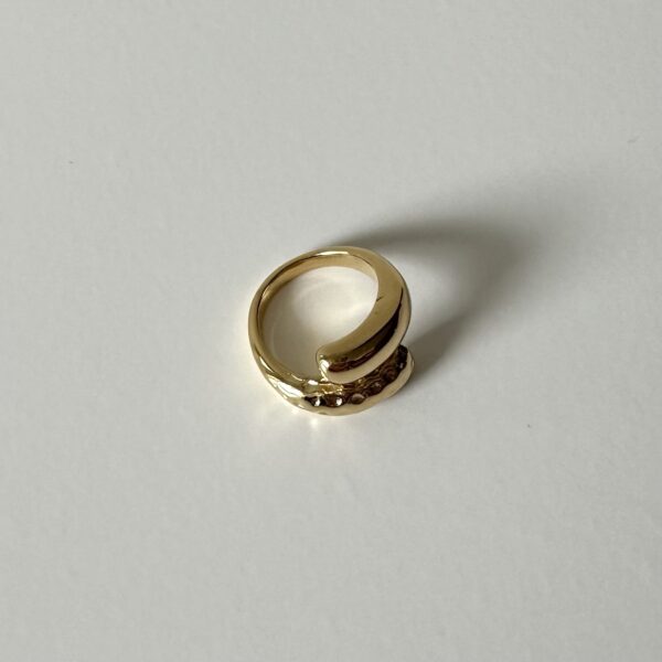 img_0508-3 Ring half bewerkt