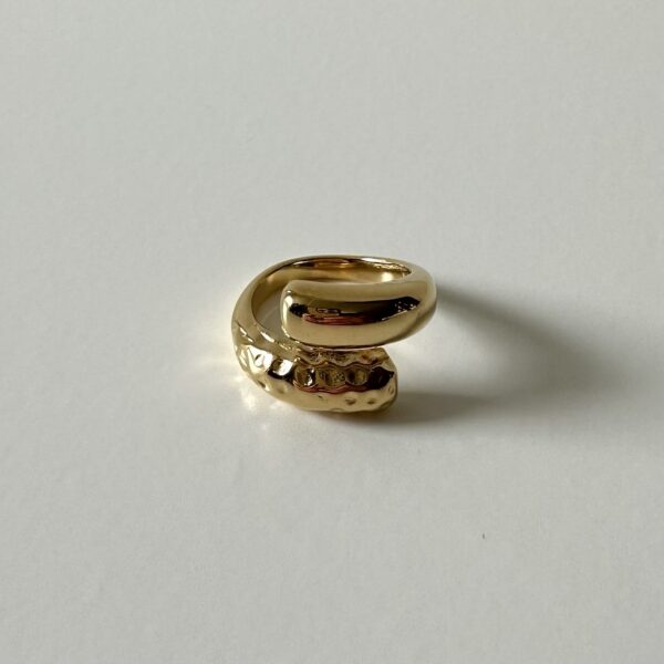 img_0510-2 Ring half bewerkt