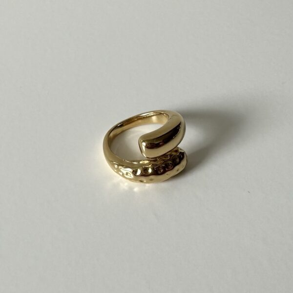 img_0511-2 Ring half bewerkt