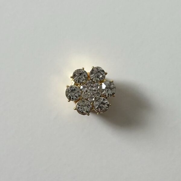 img_0573 Button bloem