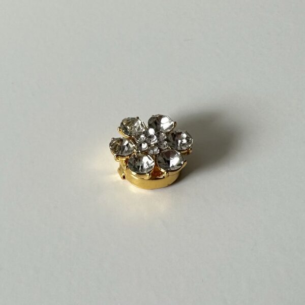 img_0577 Button bloem