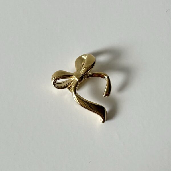 img_0696 Broche strik