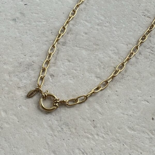 img_9873 Schakel ketting goud