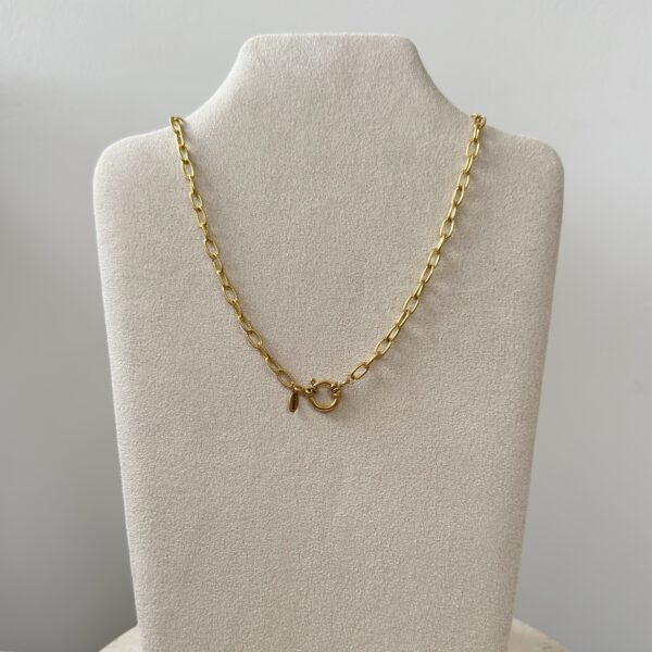 img_9926 Schakel ketting goud